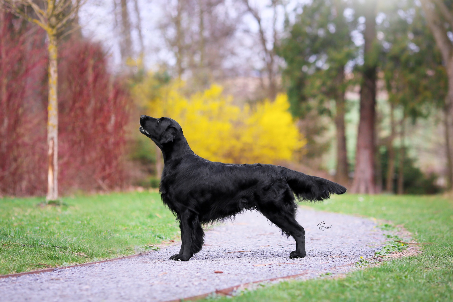 Miracles Happen Oasis of Peace